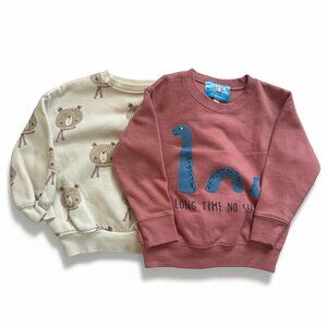Rylee + Cru & KJP Kids Toddler Sweatshirt Bundle | Size 2/3Y